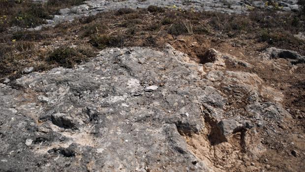 Huellas de dinosaurio en Salas de los Infantes